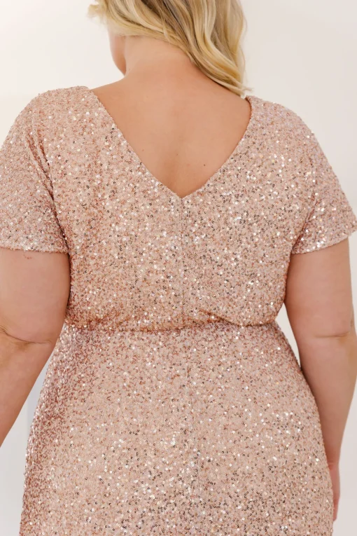 Arabella Sequin Maxi Dress in Light Bronze
